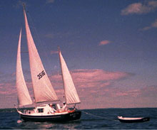 Soveral 28 