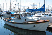Motor Cutter 26