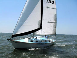Bristol 29