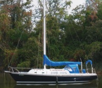 pearson 33