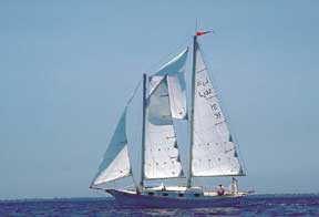 Two-masted schonner