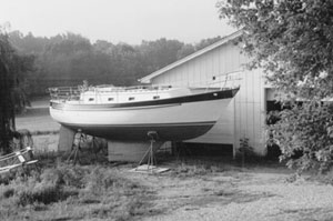 Bluebonnet awaits launch