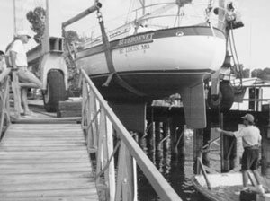 Bluebonnet being launched