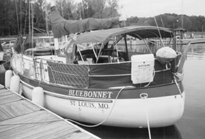 Bluebonnet stern