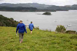 Cruise New Zealand