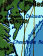 Chesapeake