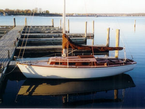 Dolphin 24