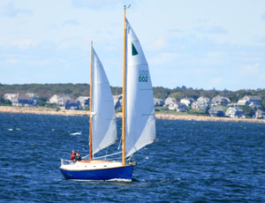 Cat Ketch 31