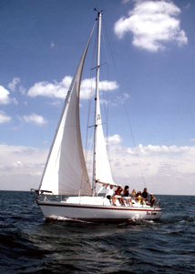 CS 34