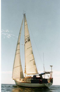 Auckland 34