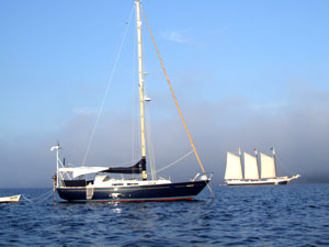 Nicholson 35