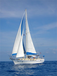 CSY 44