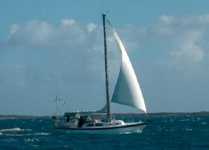 Cal 34