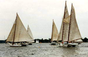 Skipjack