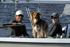 Dog on board