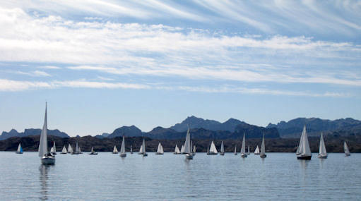 Calm fleet