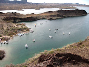 Steamboat Cove party