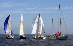 Tampa Bay GOBR 2012-3