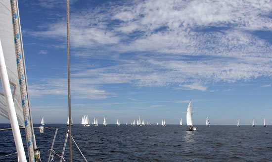 Tampa Bay GOBR 2012-5